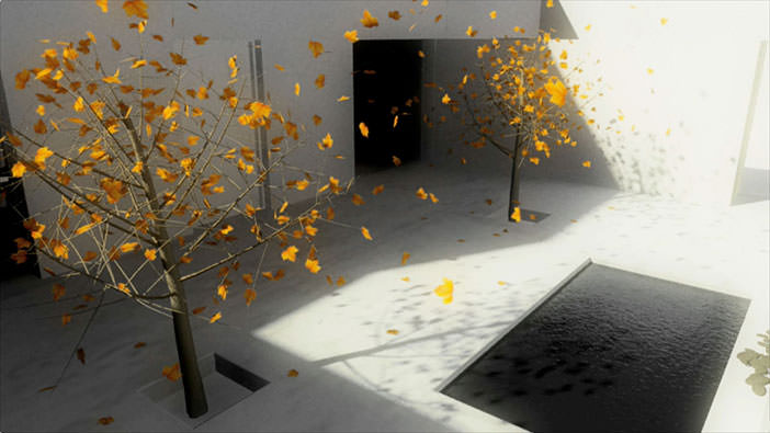 Fall leaves floating from trees in a courtyard